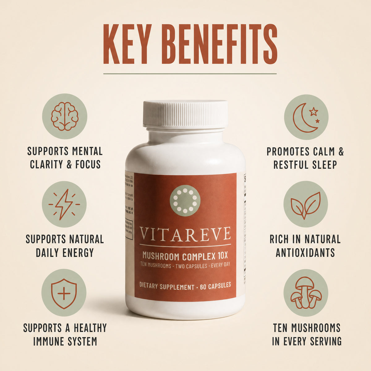 Key benefits: supports mental clarity and focus, promotes calm and restful sleep, supports natural daily energy, rich in natural antioxidants, supports a healthy immune system, ten mushrooms in every serving